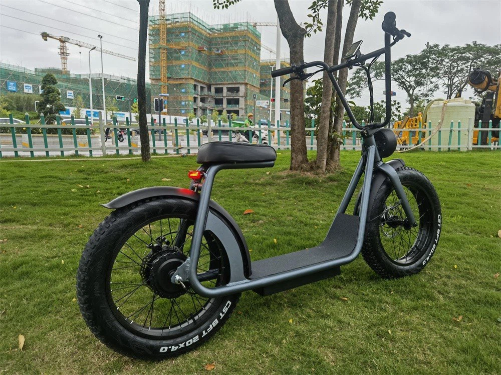 20inch electric bicycle scooter01