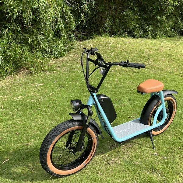 removable battery scooter 5