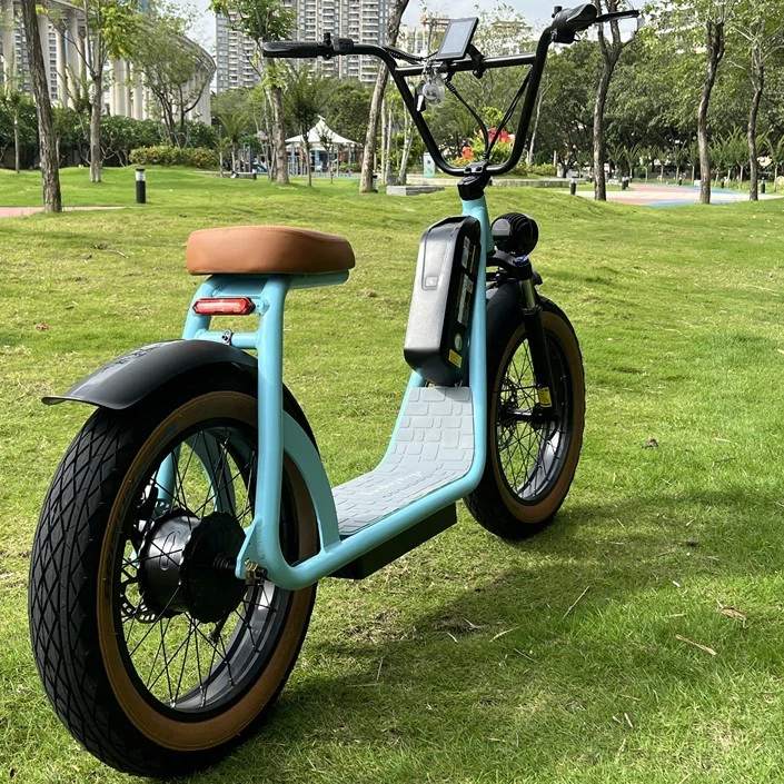 removable battery scooter 4