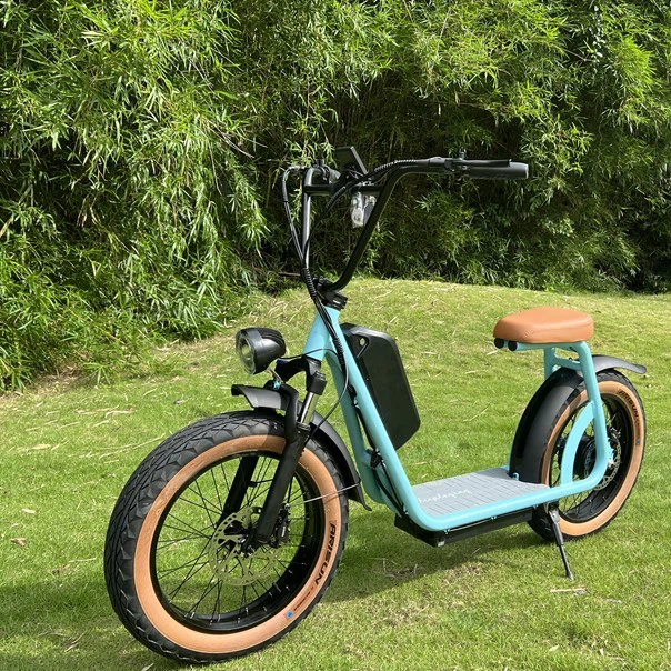 removable battery scooter 6