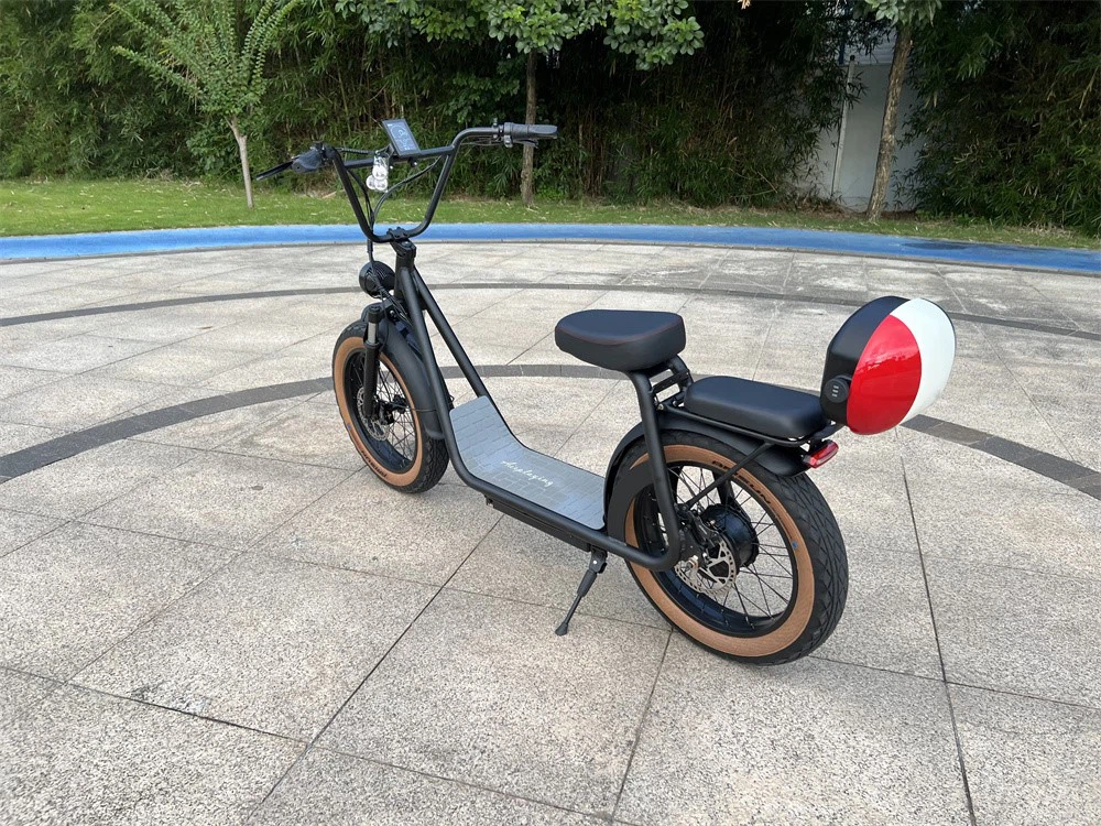 two seats scooter with rear bag64