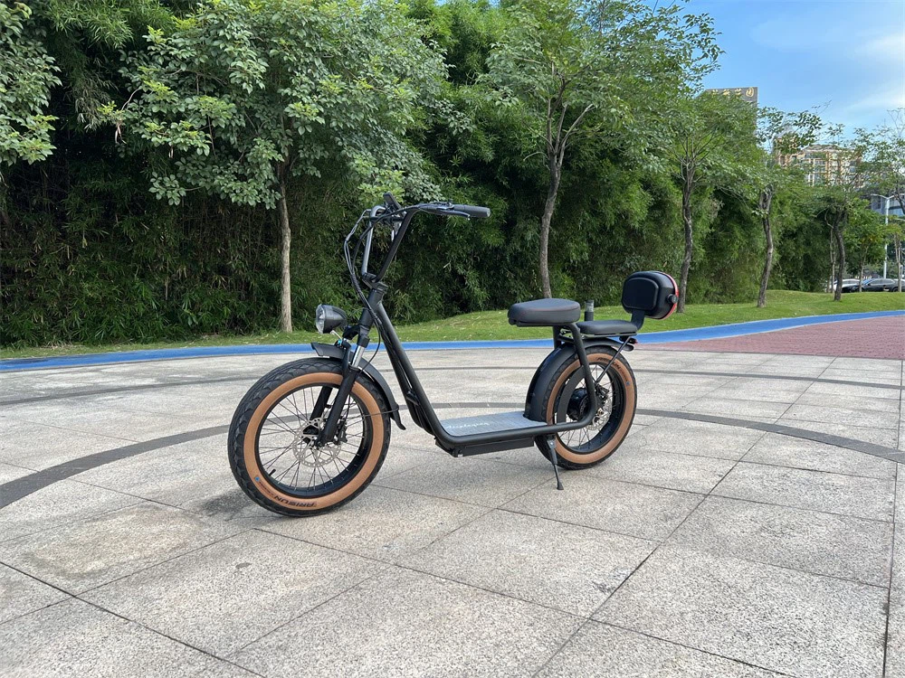 two seats scooter with rear bag66
