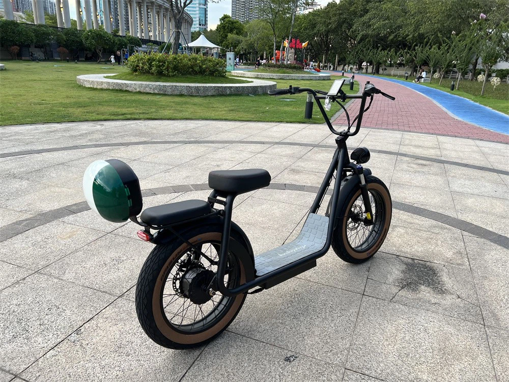 two seats scooter with rear bag76