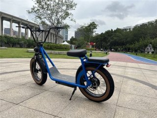 20inch Electric Scooter With NFC Technology