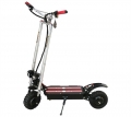 Sports Electric Scooter