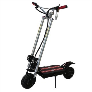 Double Brake Electric Scooter