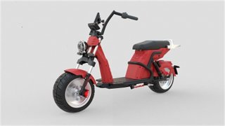 EEC Certificate 3000W 12inch Citycoco Electric Scooter