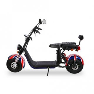 Citycoco Electric Scooter With Removable Battery