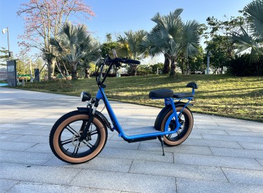 AS201 Lite Urban E-Scooter | 750W City Cruiser with Custom Options
