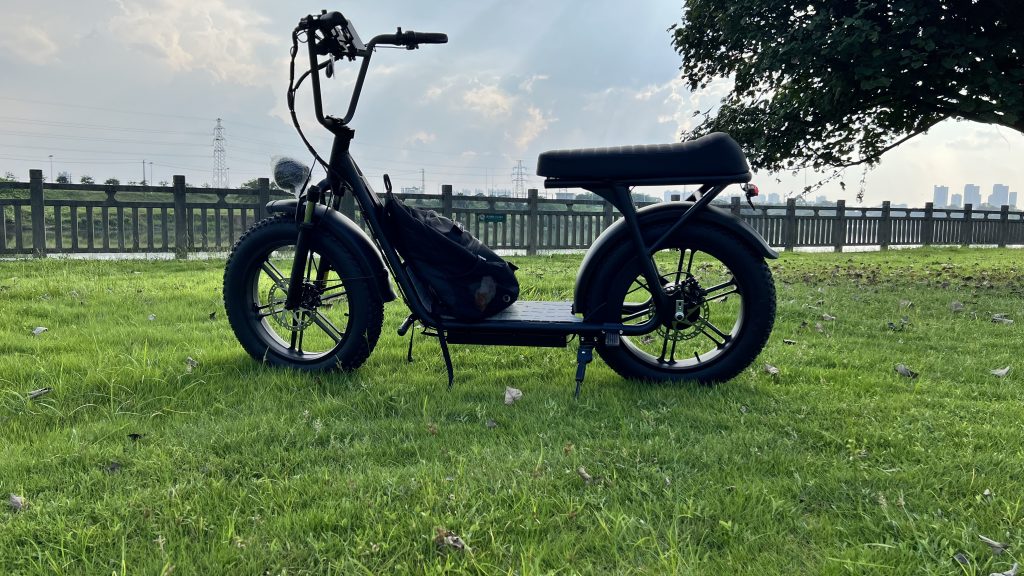 AS201 ELectric cruiser (2)